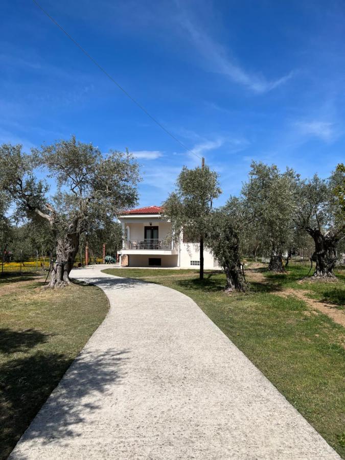 Villa Calypso Skala Rachoni  Bagian luar foto