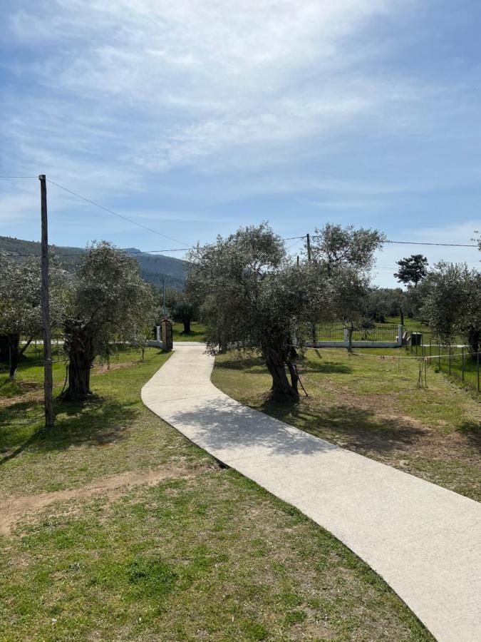 Villa Calypso Skala Rachoni  Bagian luar foto